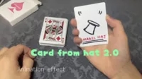 Card from Hat 2.0 by Dingding