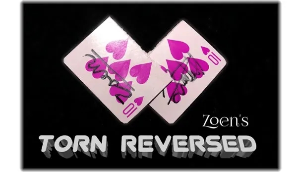 Torn Reversed by Zoen's