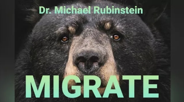 Michael Rubinstein - MIGRATE DLX COIN By Michael Rubinstein