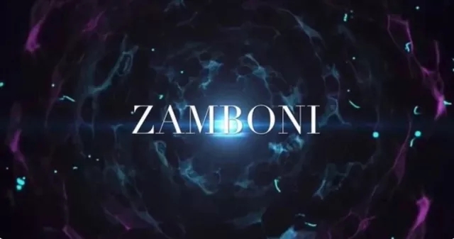 Zamboni by Mikey V