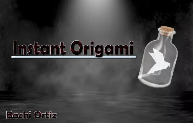 Instant Origami by Bachi Ortiz