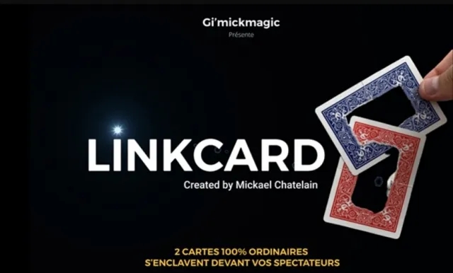 LinkCard (Online Insruction) by Mickaël Chatelain