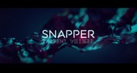 SNAPPER // Laurent Villiger