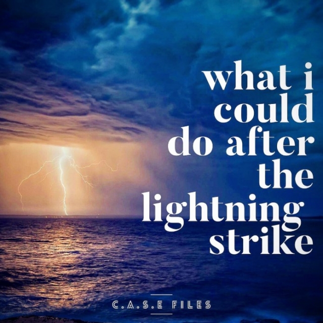 What I Could do After the Lightning Strike by Steve Wachner (str