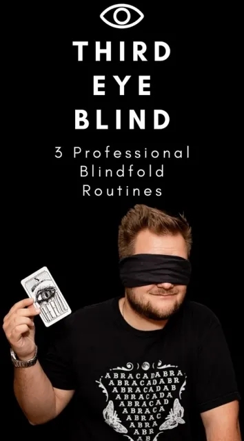 Third Eye Blind By Joe Diamond