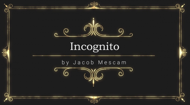 Incognito by Jacob Mescam