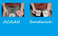 Convincing and Improved Variation of the Sandwich and ACAAN Tric