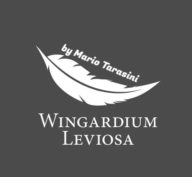 Wingardium Leviosa by Mario Tarasini