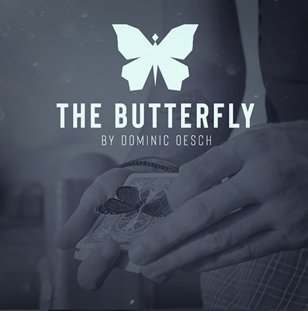 The Butterfly by Dominic Oesch (Video + Print files)