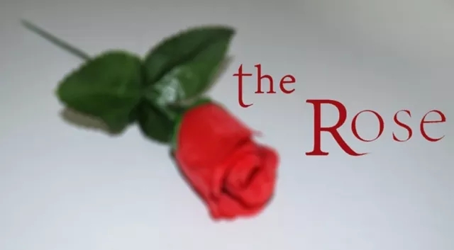 The Rose by Sandro Loporcaro (Amazo)