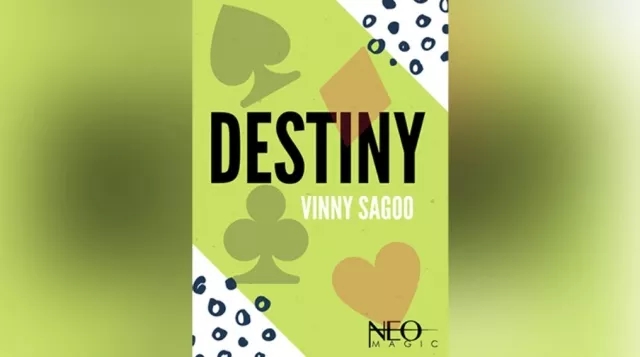 Destiny by Vinny Sagoo
