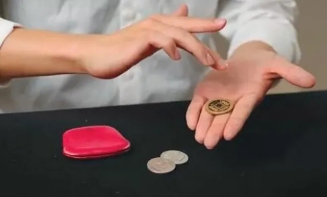 Coinludens - Purse Wild Coin