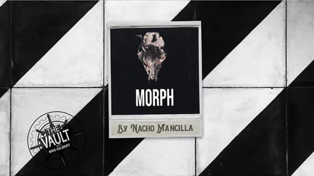 The Vault – MORPH by Nacho Mancilla Mixed Media (Download)