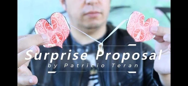 SURPRISE PROPOSAL BY PATRICIO TERAN