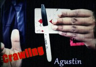 Crawling by Agustin (Instant Download)