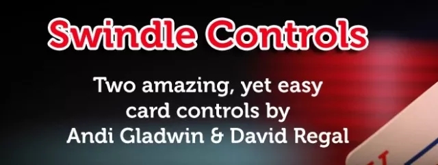 Swindle Controls by Andi Gladwin