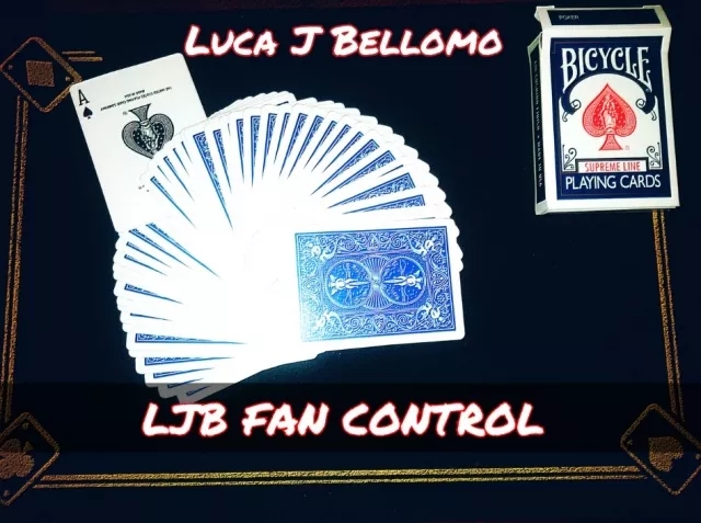 LJB FAN CONTROL by Luca J Bellomo (LJB)