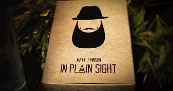 In Plain Sight by Matt Johnson