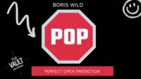 The Vault - Pop by Boris Wild