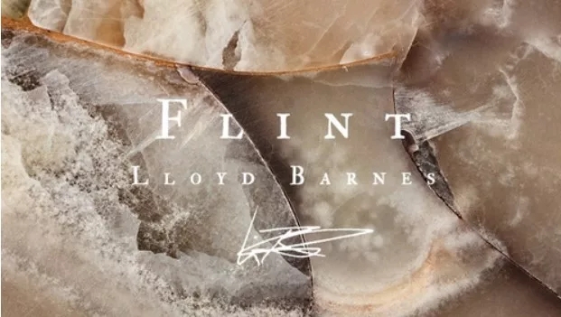 Flint by Lloyd Barnes