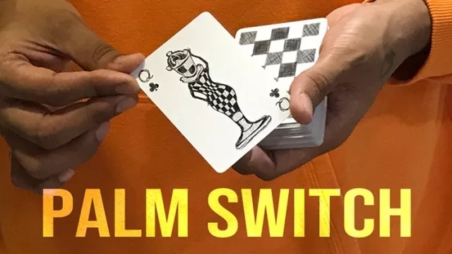 Magic Encarta Presents Palm Switch & Palm Control by Vivek Singh