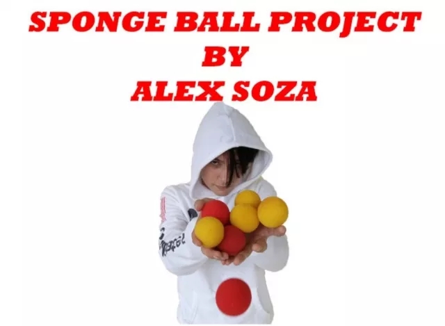 Sponge Ball Project By Alex Soza