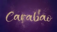 Carabao by Geni