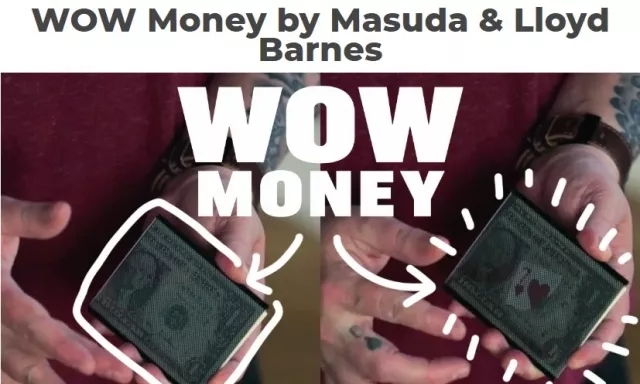 WOW Money by Masuda & Lloyd Barnes