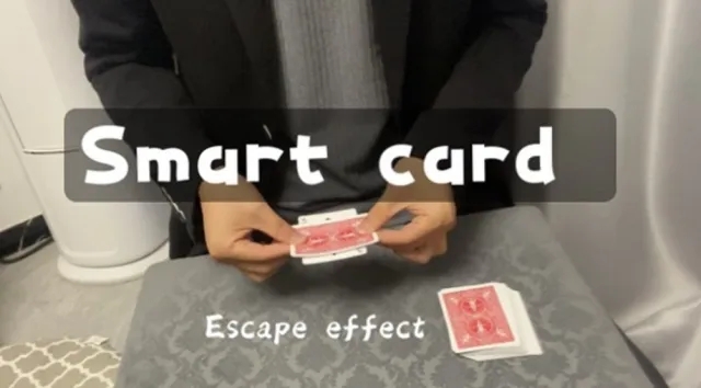 Smart Card by Dingding
