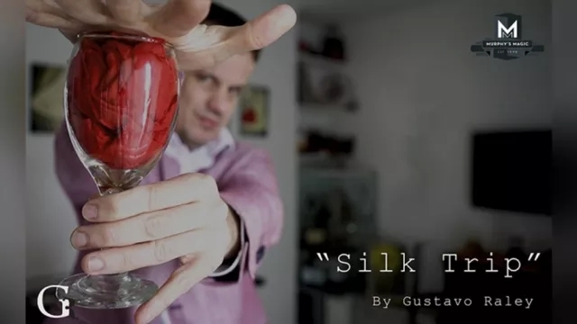 Silk Trip by Gustavo Raley