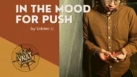 The Vault - In The Mood For Push by Lidden Li
