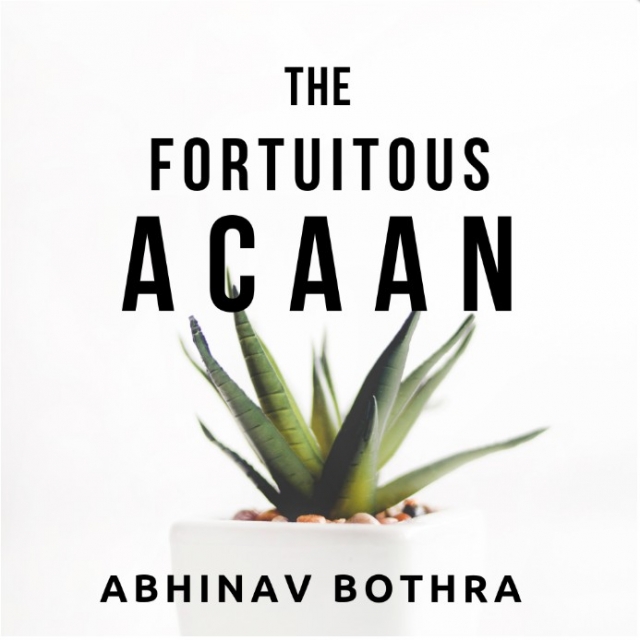 The Fortuitous ACAAN by Abhinav Bothra (PDF + Video)