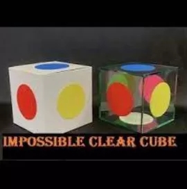 Impossible Clear Cube by Mizoguchi