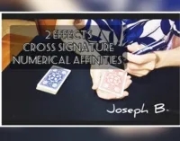 2 Effects: Numerical Affinities and Cross Signature by Joseph B.