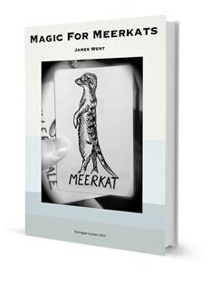 Magic For Meerkats By James Went