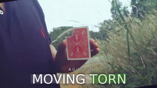 Moving Torn by Agustin video (Download)