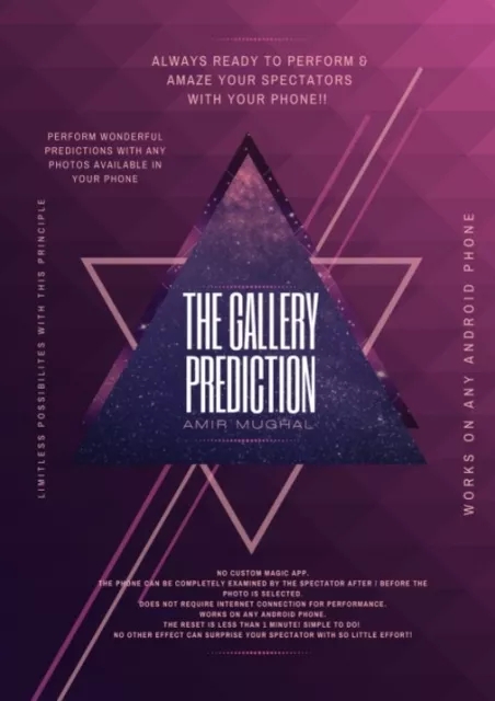 The Gallery Prediction by Amir Mughal