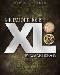 Metamorphosis XL by Wayne Dobson