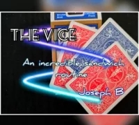 THE VICE By Joseph B