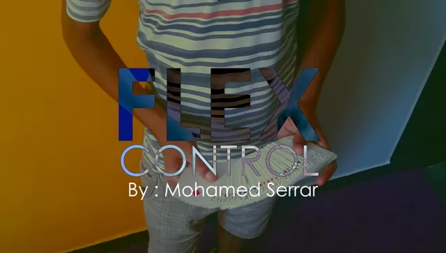 Flex Control By Mohamed Serrar