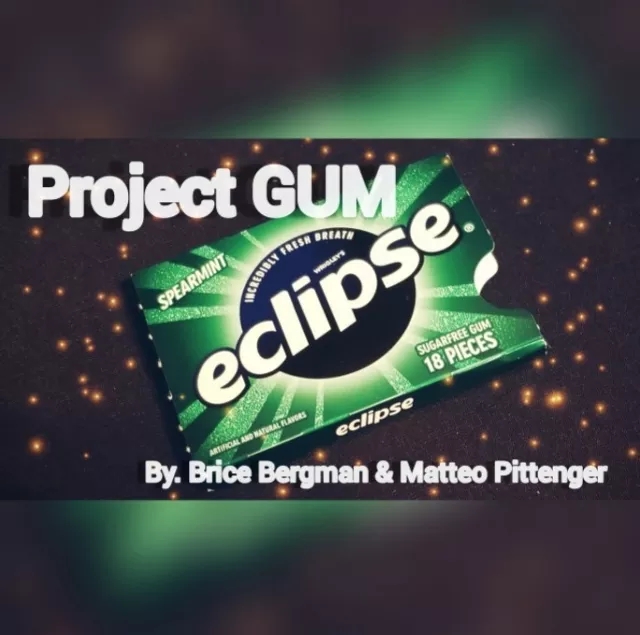 Project Gum by Brice Bergman and Matteo Pittenger