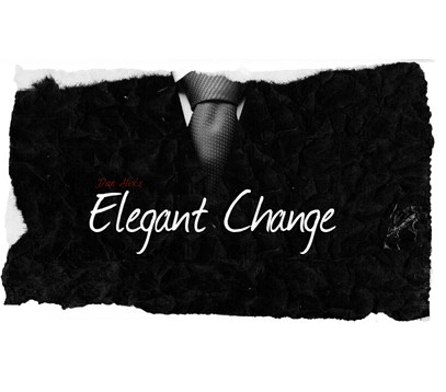 Elegant Change by Dan Alex
