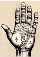Magician's Guide to Palm Reading