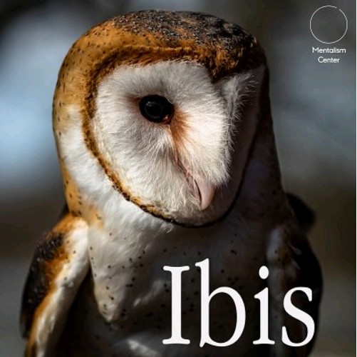 Ibis By Carlos Emesqua - Click Image to Close
