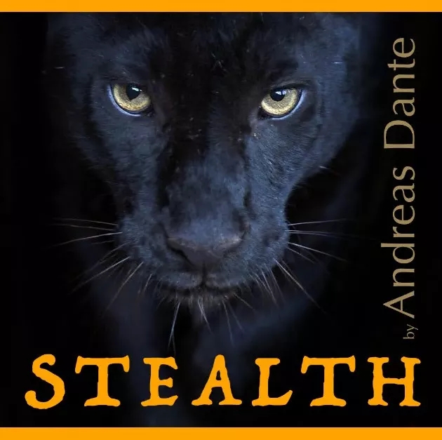 Stealth by Andreas Dante - Click Image to Close