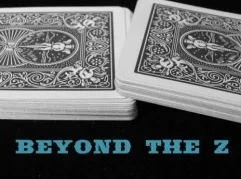 Beyond The Z by Steve Reynolds - Click Image to Close