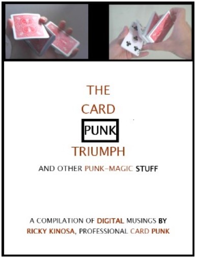 The Card Punk By Ricky Kinosa - Click Image to Close