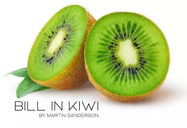 Bill in Kiwi - By Martin Sanderson - Instant Download - Click Image to Close
