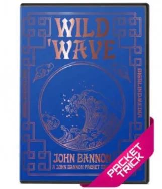 John Bannon - Wild Wave By John Bannon (Blackpool 2023) - Click Image to Close