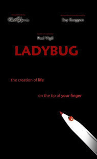 Paul Harris - Ladybug - Click Image to Close